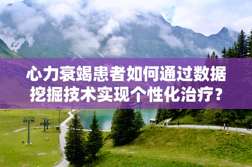 心力衰竭患者如何通过数据挖掘技术实现个性化治疗？