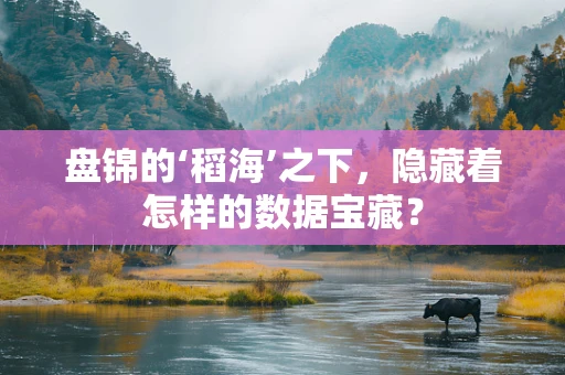 盘锦的‘稻海’之下，隐藏着怎样的数据宝藏？
