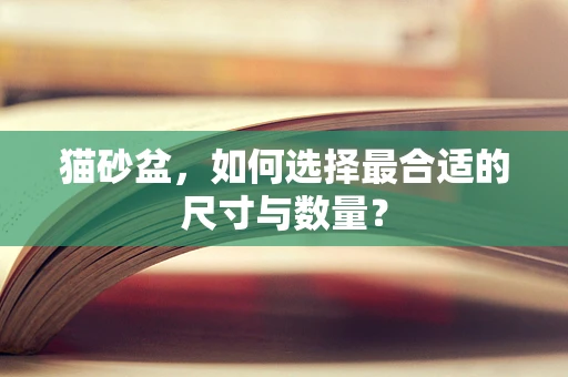 猫砂盆，如何选择最合适的尺寸与数量？