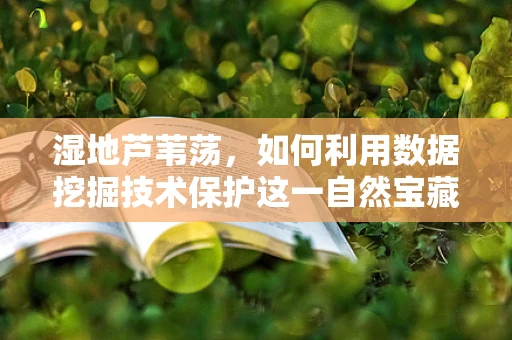 湿地芦苇荡，如何利用数据挖掘技术保护这一自然宝藏？