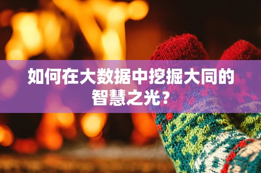 如何在大数据中挖掘大同的智慧之光？