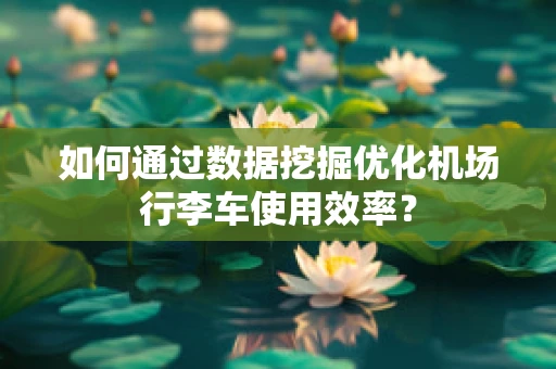 如何通过数据挖掘优化机场行李车使用效率？