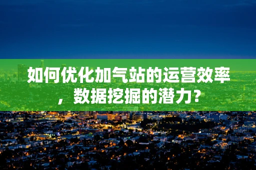 如何优化加气站的运营效率，数据挖掘的潜力？