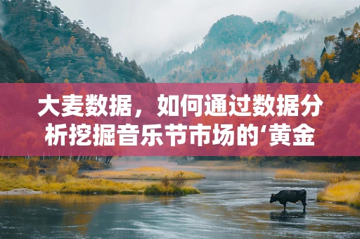 大麦数据，如何通过数据分析挖掘音乐节市场的‘黄金矿脉’？