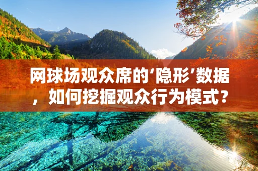 网球场观众席的‘隐形’数据，如何挖掘观众行为模式？