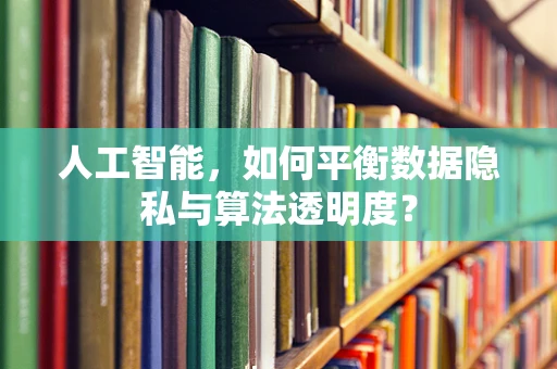 人工智能，如何平衡数据隐私与算法透明度？