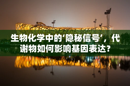 生物化学中的‘隐秘信号’，代谢物如何影响基因表达？