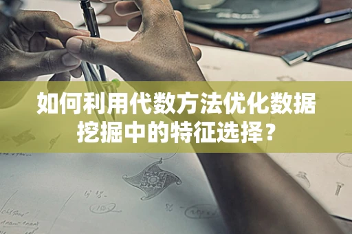 如何利用代数方法优化数据挖掘中的特征选择？