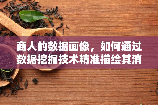 商人的数据画像，如何通过数据挖掘技术精准描绘其消费行为与偏好？