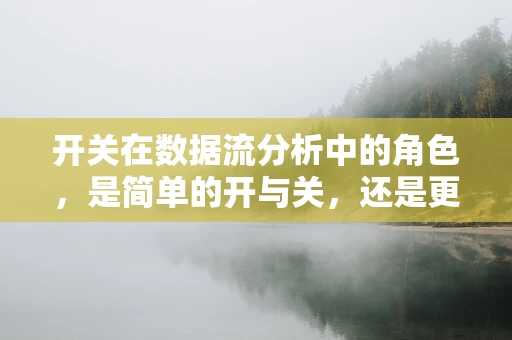 开关在数据流分析中的角色，是简单的开与关，还是更复杂的信号传递者？
