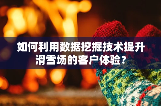 如何利用数据挖掘技术提升滑雪场的客户体验？