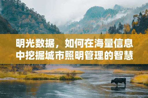 明光数据，如何在海量信息中挖掘城市照明管理的智慧之钥？