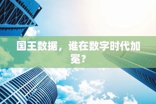 国王数据，谁在数字时代加冕？