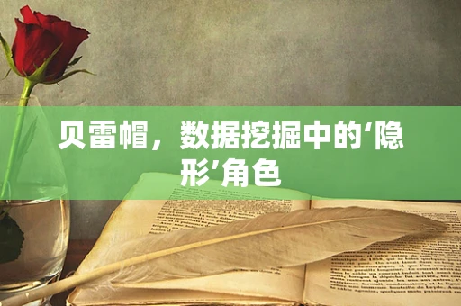 贝雷帽，数据挖掘中的‘隐形’角色