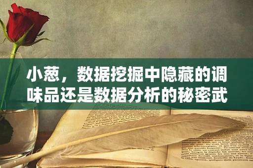 小葱，数据挖掘中隐藏的调味品还是数据分析的秘密武器？