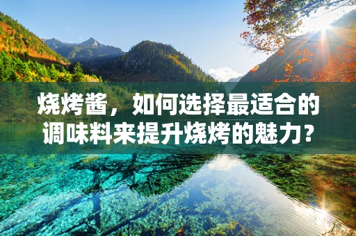 烧烤酱，如何选择最适合的调味料来提升烧烤的魅力？
