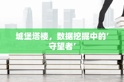 城堡塔楼，数据挖掘中的‘守望者’