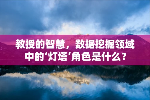 教授的智慧，数据挖掘领域中的‘灯塔’角色是什么？