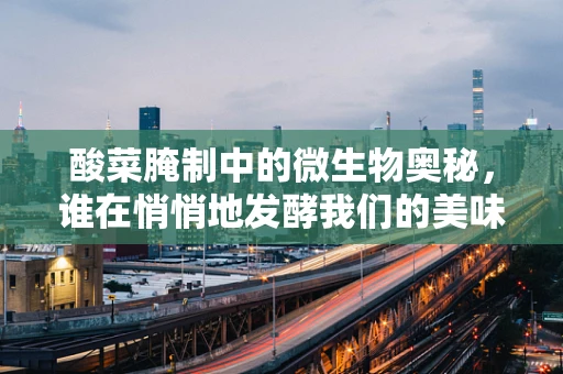 酸菜腌制中的微生物奥秘，谁在悄悄地发酵我们的美味？