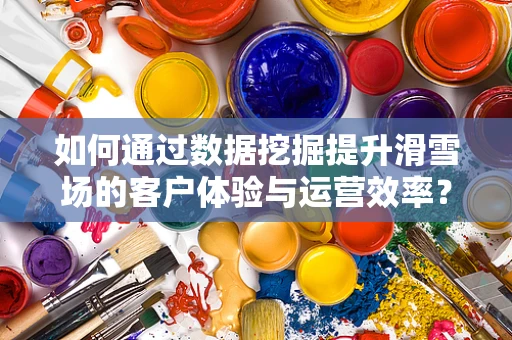 如何通过数据挖掘提升滑雪场的客户体验与运营效率？