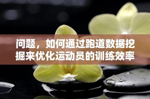 问题，如何通过跑道数据挖掘来优化运动员的训练效率？