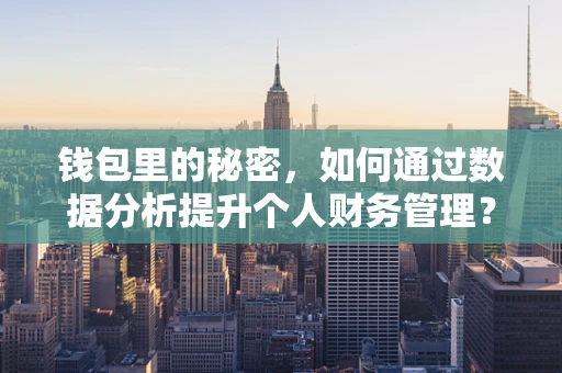 钱包里的秘密，如何通过数据分析提升个人财务管理？