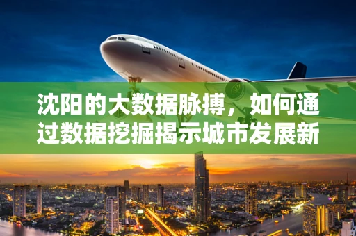 沈阳的大数据脉搏，如何通过数据挖掘揭示城市发展新机遇？