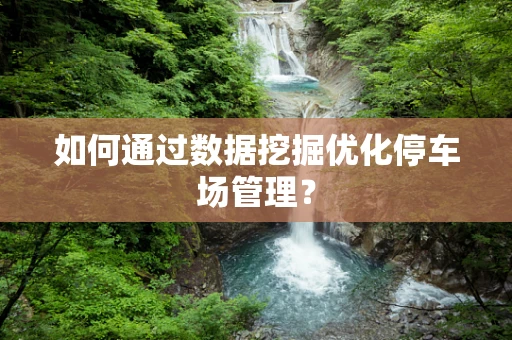 如何通过数据挖掘优化停车场管理？