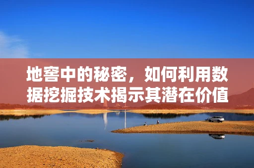 地窖中的秘密，如何利用数据挖掘技术揭示其潜在价值？