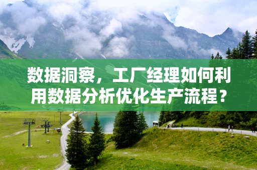 数据洞察，工厂经理如何利用数据分析优化生产流程？