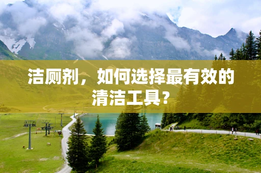 洁厕剂，如何选择最有效的清洁工具？
