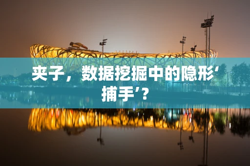 夹子，数据挖掘中的隐形‘捕手’？