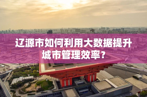 辽源市如何利用大数据提升城市管理效率？