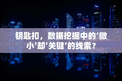 钥匙扣，数据挖掘中的‘微小’却‘关键’的线索？
