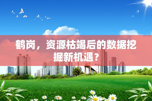 鹤岗，资源枯竭后的数据挖掘新机遇？