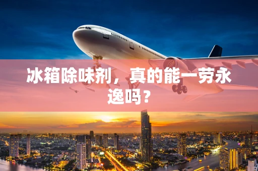 冰箱除味剂，真的能一劳永逸吗？