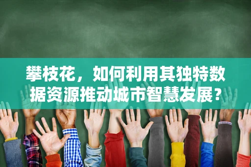 攀枝花，如何利用其独特数据资源推动城市智慧发展？