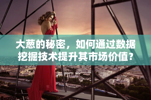 大葱的秘密，如何通过数据挖掘技术提升其市场价值？