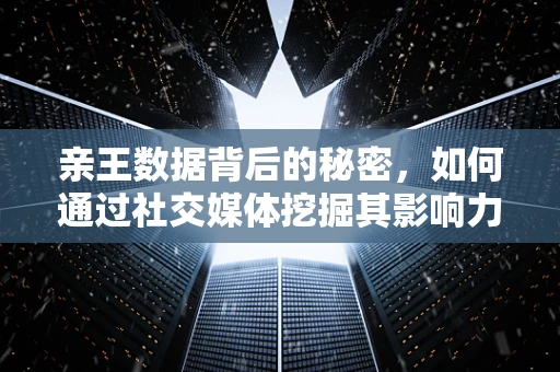 亲王数据背后的秘密，如何通过社交媒体挖掘其影响力与兴趣点？