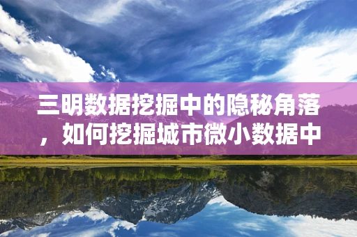 三明数据挖掘中的隐秘角落，如何挖掘城市微小数据中的大价值？