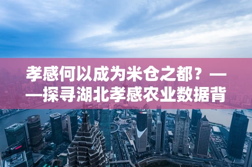 孝感何以成为米仓之都？——探寻湖北孝感农业数据背后的秘密