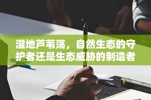 湿地芦苇荡，自然生态的守护者还是生态威胁的制造者？
