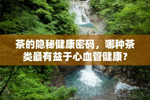 茶的隐秘健康密码，哪种茶类最有益于心血管健康？
