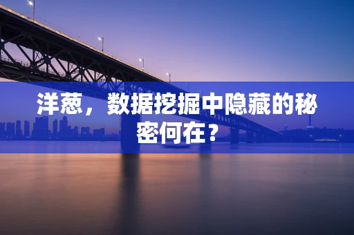 洋葱，数据挖掘中隐藏的秘密何在？