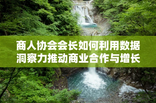 商人协会会长如何利用数据洞察力推动商业合作与增长？