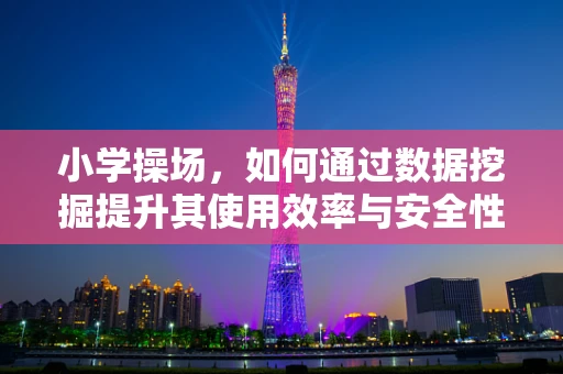 小学操场，如何通过数据挖掘提升其使用效率与安全性？
