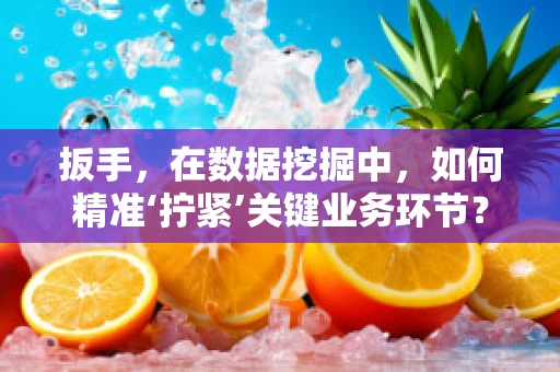 扳手，在数据挖掘中，如何精准‘拧紧’关键业务环节？