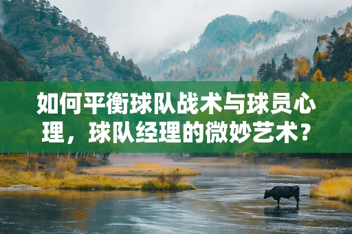 如何平衡球队战术与球员心理，球队经理的微妙艺术？