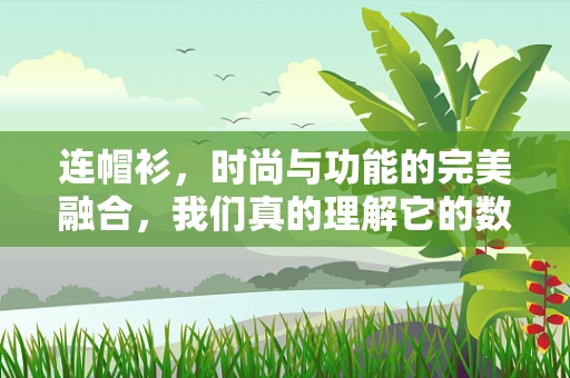 连帽衫，时尚与功能的完美融合，我们真的理解它的数据故事吗？