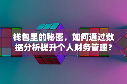 钱包里的秘密，如何通过数据分析提升个人财务管理？